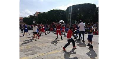 Imagen de la galería