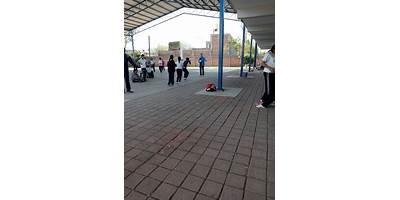 Imagen de la galería