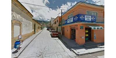 ANDRÉS HENESTROSA