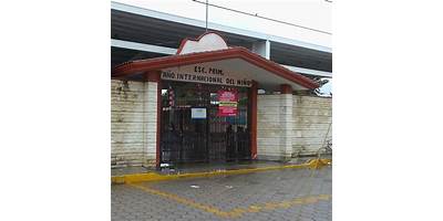 AÑO INTERNACIONAL DEL NIÑO