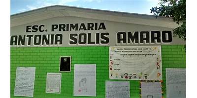 ANTONIA SOLIS AMARO