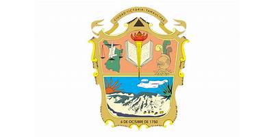 BANDERA NACIONAL