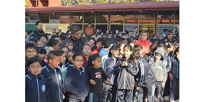 Imagen de la galería