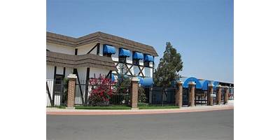 BRITISH AMERICAN INSTITUTE