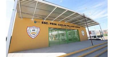 CALOS PELLICER CÁMARA