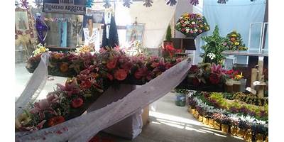 C.A.S.I. EL ROSAL
