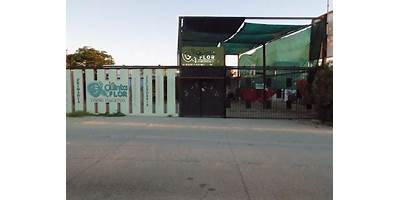 CENTRO EDUCATIVO LA QUINTA FLOR