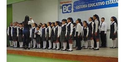 CENTRO PEDAGOGICO TORRES QUINTERO