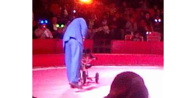 CIRCO PRODUCCIONES ODISSEIS