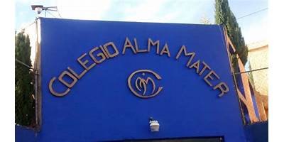 COLEGIO ALMA MATER
