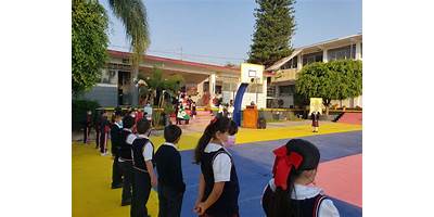 COLEGIO AMALIA SOLORZANO