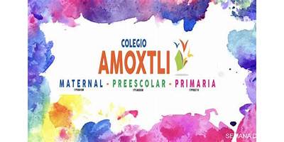 COLEGIO AMOXTLI