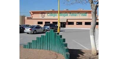 COLEGIO BILINGÜE ANNA FREUD CAMPUS VALLE DEL SOL