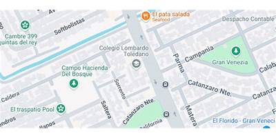 COLEGIO BILINGUE LOMBARDO TOLEDANO