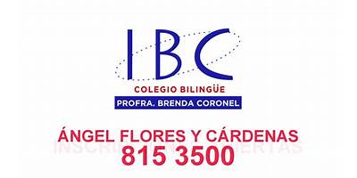 COLEGIO BILINGUE PROFA. BRENDA CORONEL