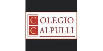 COLEGIO CALPULLI