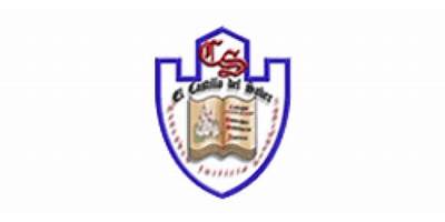 COLEGIO CASTILLO DEL SABER