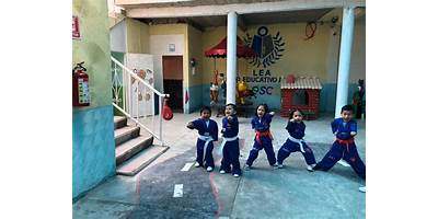 COLEGIO EDUCATIVO BILINGÜE AUSUBEL