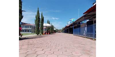 COLEGIO FRIDA KAHLO