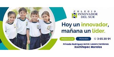 COLEGIO INNOVADOR DEL SUR