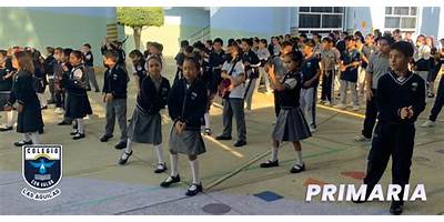 COLEGIO LAS AGUILAS PRIMARIA