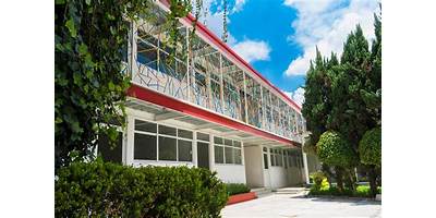 COLEGIO LEONORA CARRINGTON