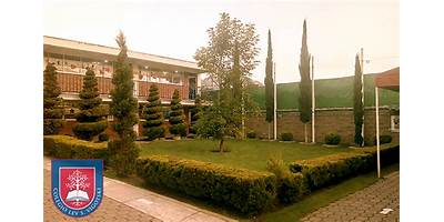 COLEGIO LEV S. VIGOTSKI