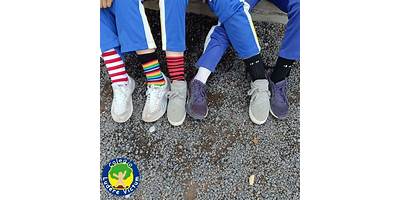 COLEGIO LUDERE VICTUM