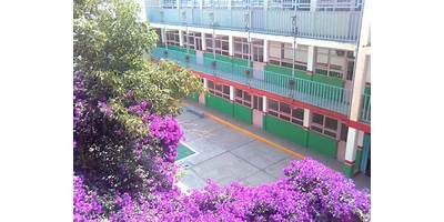 COLEGIO MEXICO CULTURAL