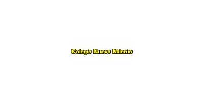 COLEGIO NUEVO MILENIO