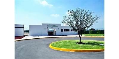 COLEGIO SPRINGWOODS