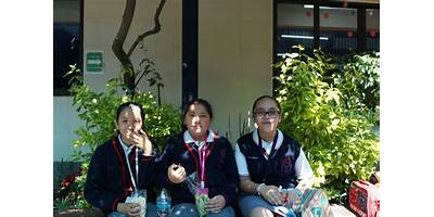 COLEGIO WATSON Y CRICK