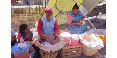COMUNIDAD EDUCATIVA AYOC