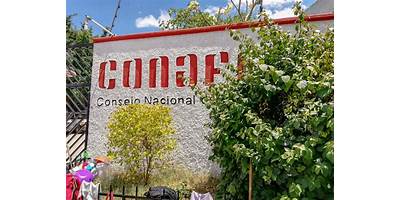 CONAFE