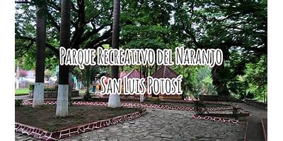 CURSO COMUNITARIO