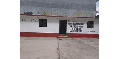 Imagen de la galería