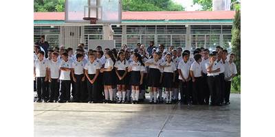 CURSOS COMUNITARIOS PRIMARIA