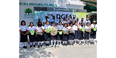 CURSOS COMUNITARIOS PRIMARIA