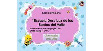 DORA LUZ DE LOS SANTOS DEL VALLE