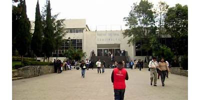 Imagen de la galería