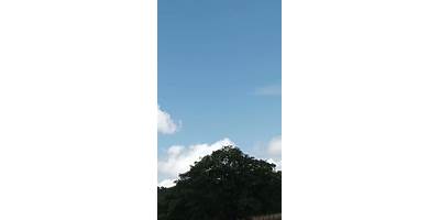 EL DURAZNITO