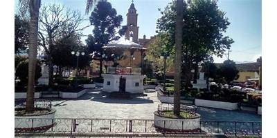 EL ZAPOTE (LAS CANOAS JUAN S. CONDE)
