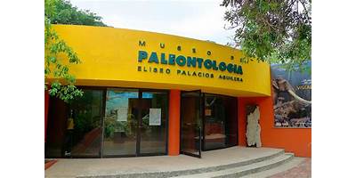 ELISEO PALACIOS AGUILERA