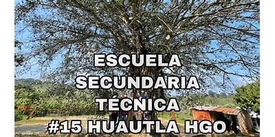 ESCUELA SECUNDARIA TECNICA 15