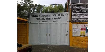 ESCUELA SECUNDARIA TECNICA 77