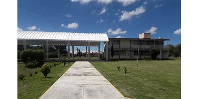 ESCUELA SECUNDARIA TECNICA NUM. 142