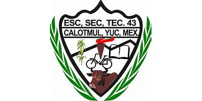 ESCUELA SECUNDARIA TECNICA NUM. 43