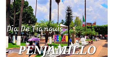 ESCUELA TELESECUNDARIA ESTV16 200