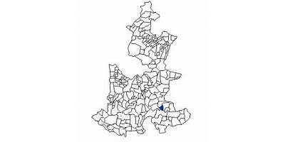 ESPIGAS DE MAIZ