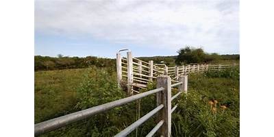 ESTACION AGRARIOS